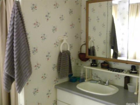 989 Gr 516 Rd, Marmaduke, AR 72443 photo 16