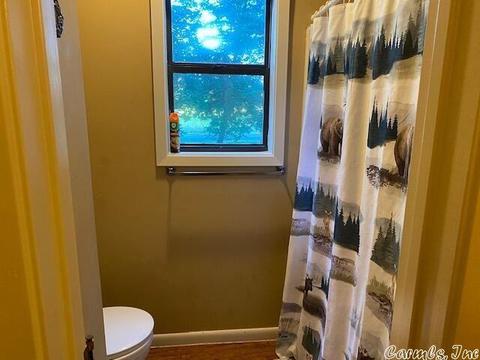 90 Darwin Cir, Cave City, AR 72521 photo 18