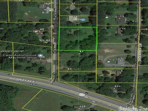 41 Mace, Conway, AR 72032 photo 2
