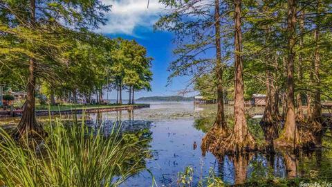 181 Jackson Ave, Mayflower, AR 72106 photo 33
