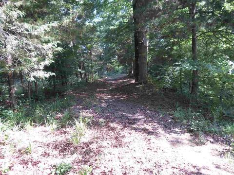 245 Alinco Ln, Mountain Pine, AR 71956 photo 11