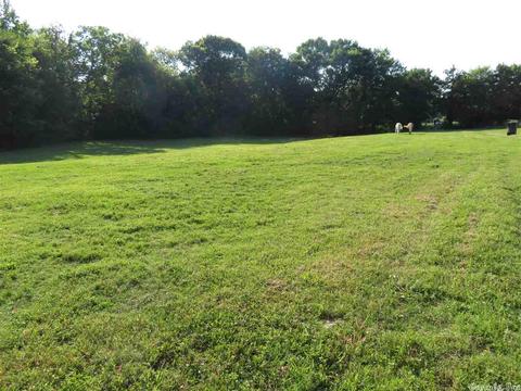 245 Alinco Ln, Mountain Pine, AR 71956 photo 14