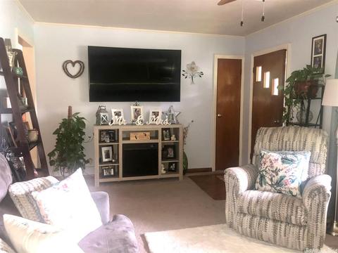 832 Circle Spur, Piggott, AR 72454 photo 3