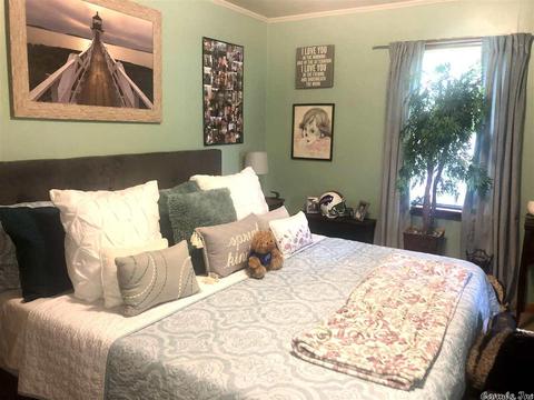 832 Circle Spur, Piggott, AR 72454 photo 6