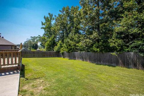 775 Mango Loop, Austin, AR 72007 photo 24