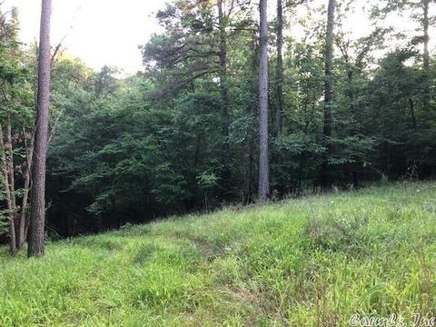 183 N Hinds Rd, Murfreesboro, AR 71958 photo 3