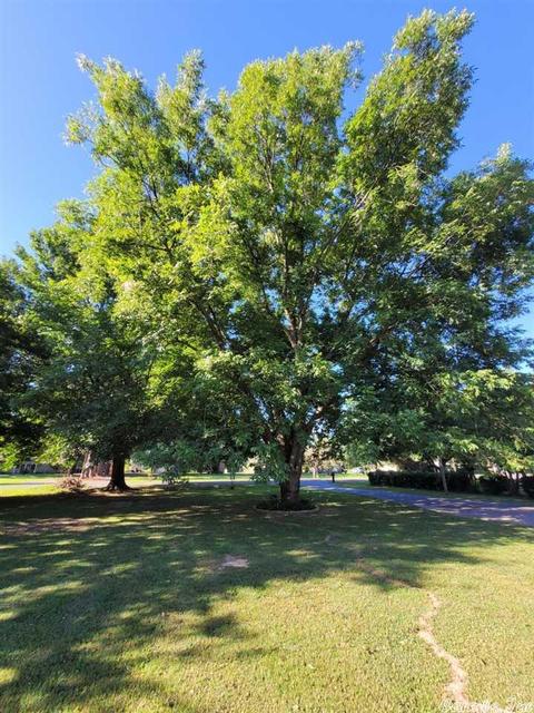 13419 Old River Dr, Scott, AR 72142 photo 9