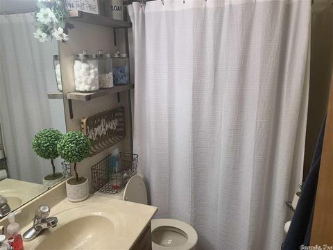 261 Sunny Gap Rd, Conway, AR 72032 photo 6