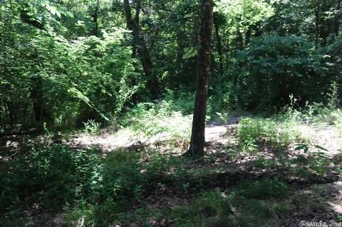 137 Wickham Rd, Mountain View, AR 72560 photo 24