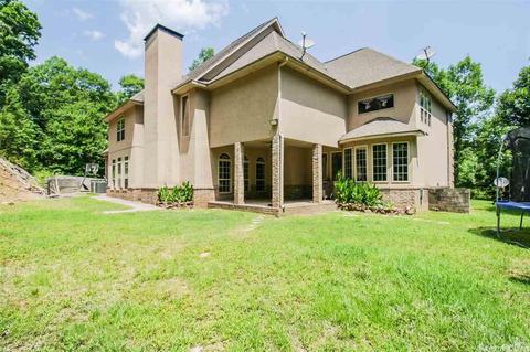 108 Bald Eagle Dr, Paron, AR 72122 photo 38