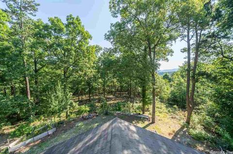 181 Broken Rock Rd, Mount Ida, AR 71957 photo 25