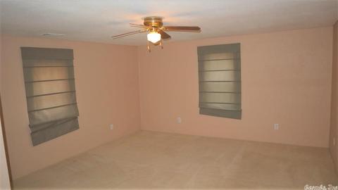 3227 Pleasant Grove Rd, Wideman, AR 72585 photo 6