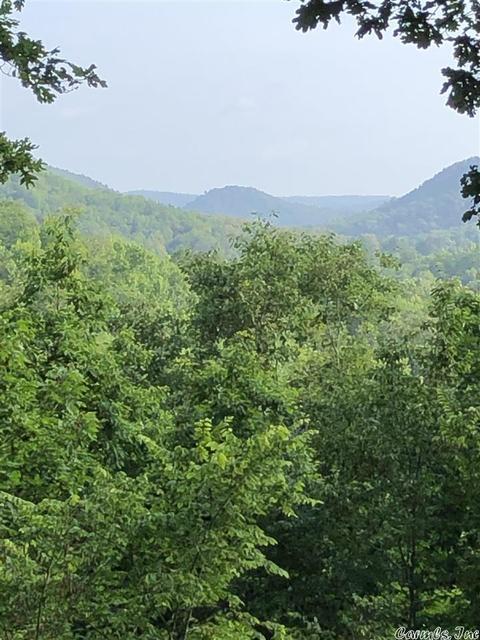 1080 Image Dr, Harriet, AR 72639 photo 36
