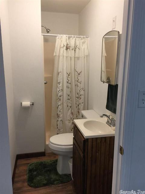 1361 Bayou Loop Rd, Des Arc, AR 72040 photo 6