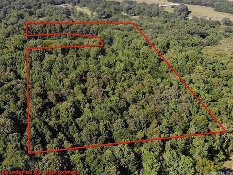 222 Cedar Ln, Horatio, AR 71842 photo 37