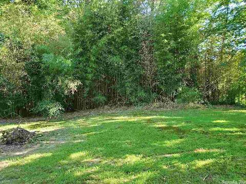 222 Cedar Ln, Horatio, AR 71842 photo 33