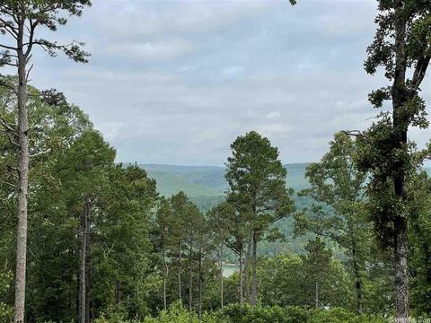235 Ring Rd, Greers Ferry, AR 72067 photo 32