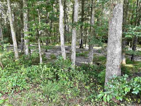 231 Koa Rd, Searcy, AR 72143 photo 35