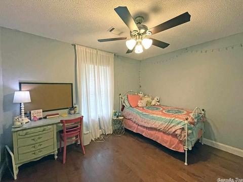 43 Fiegel Loop, Conway, AR 72032 photo 20