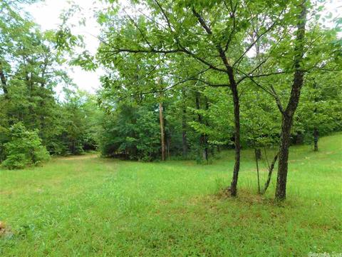 15876 Tintop, Mena, AR 71953 photo 27