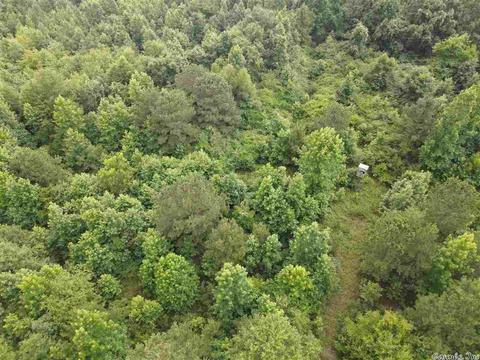3404 Willis Rd, White Hall, AR 71602 photo 34