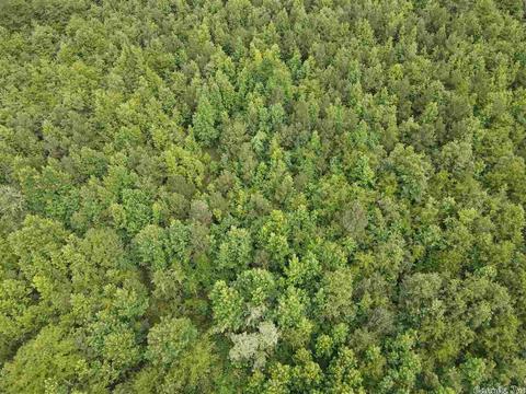 3404 Willis Rd, White Hall, AR 71602 photo 38