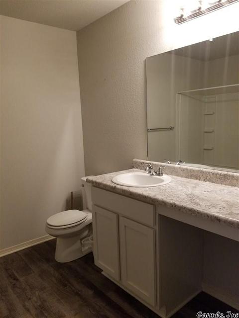 6176 Saddle Hill Drive Ln, Alexander, AR 72002 photo 21