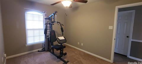 10 Mulberry Loop, Ward, AR 72176 photo 30