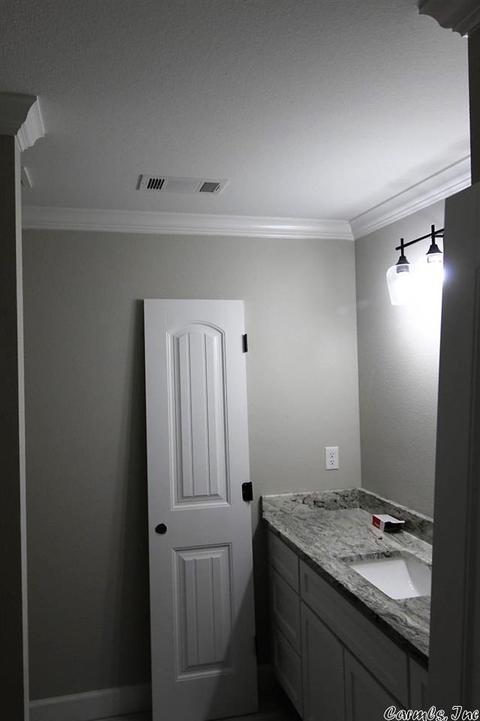 705 Lucy Ln, Alexander, AR 72002 photo 23