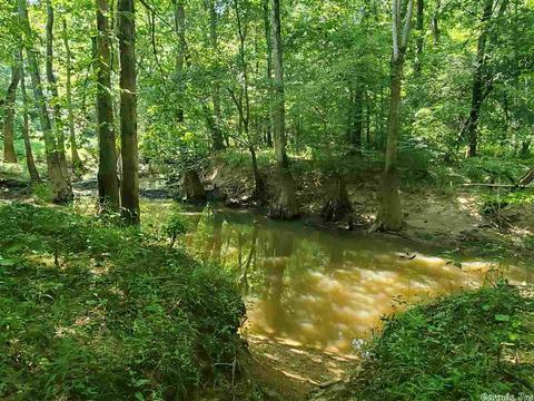 695 Covey, Austin, AR 72007 photo 38