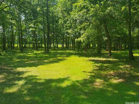 695 Covey, Austin, AR 72007 photo 31