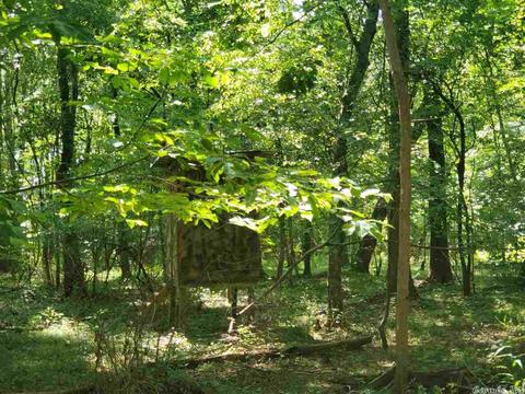 695 Covey, Austin, AR 72007 photo 39