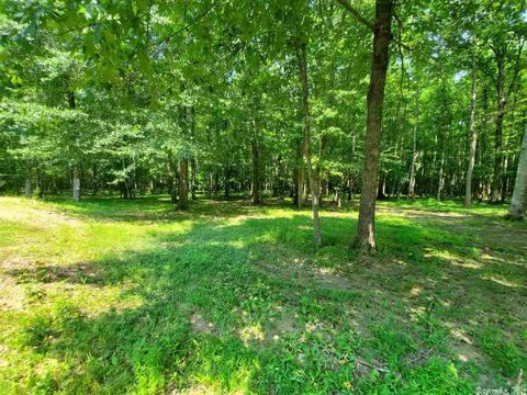 695 Covey, Austin, AR 72007 photo 32