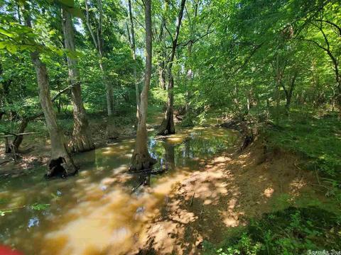 695 Covey, Austin, AR 72007 photo 36