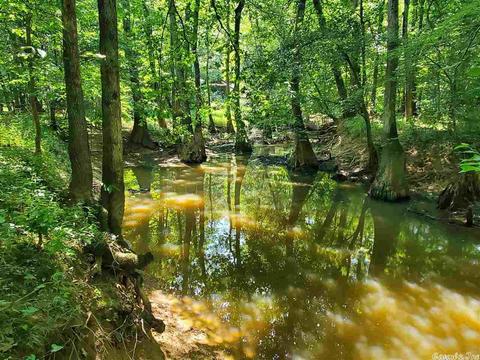 695 Covey, Austin, AR 72007 photo 37