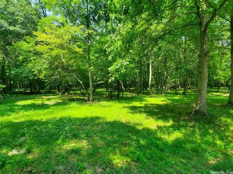 695 Covey, Austin, AR 72007 photo 29