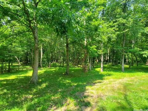 695 Covey, Austin, AR 72007 photo 30