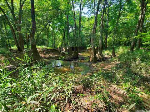 695 Covey, Austin, AR 72007 photo 35