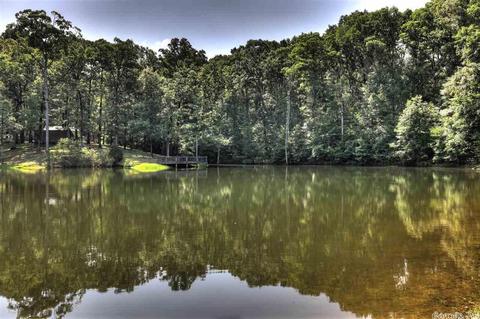 3285 White Tail, Benton, AR 72019 photo 5