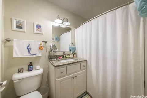 112 Cedar Crest Dr, Clinton, AR 72031 photo 17