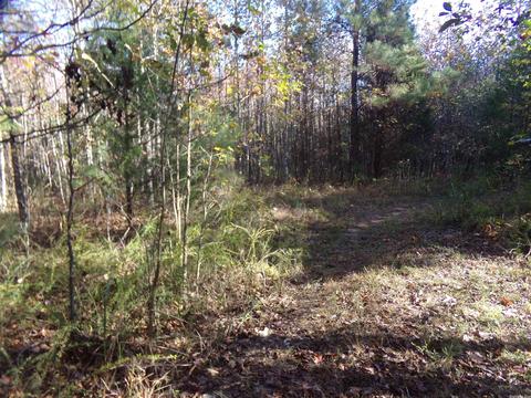2089 Butlerville Rd, Ward, AR 72176 photo 13