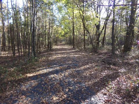 2089 Butlerville Rd, Ward, AR 72176 photo 10