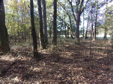 2089 Butlerville Rd, Ward, AR 72176 photo 12
