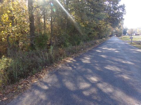 2089 Butlerville Rd, Ward, AR 72176 photo 1