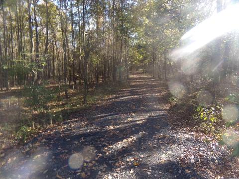 2089 Butlerville Rd, Ward, AR 72176 photo 5