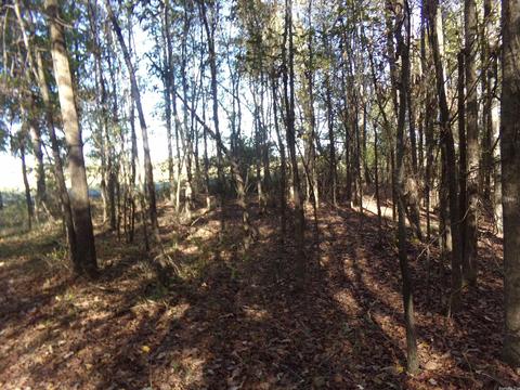 2089 Butlerville Rd, Ward, AR 72176 photo 11