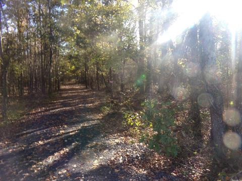 2089 Butlerville Rd, Ward, AR 72176 photo 3