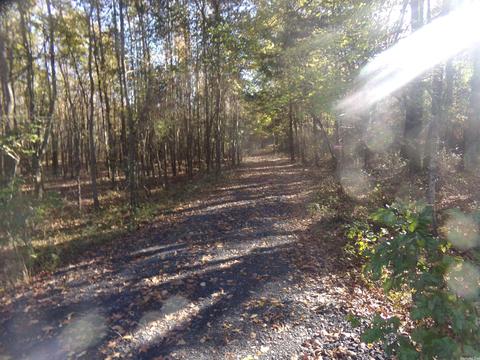 2089 Butlerville Rd, Ward, AR 72176 photo 7