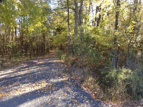 2089 Butlerville Rd, Ward, AR 72176 photo 8