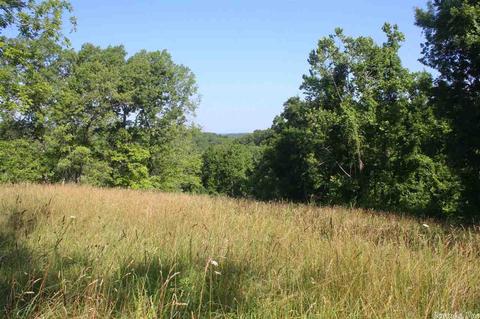 1877 Cowan Ridge Rd, Powell, MO 65730 photo 3